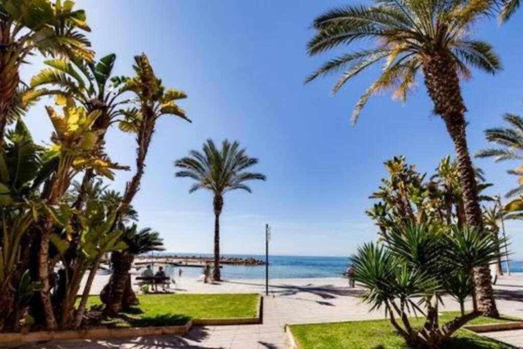 Penthouse Ramon G-Playa Del Cura Appartement Torrevieja Buitenkant foto